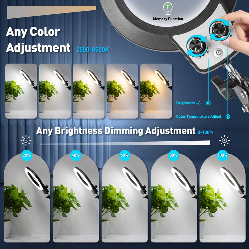 KIRKAS 12X Magnifying Glass with Light and Stand, Any Color Modes & Stepless Brightness LED Magnifying Lamp with Clamp, 2-in-1 Magnifier Glass Lens Desk Lamp for Crafts Hobby Reading Close Work 12X Base & Clamp