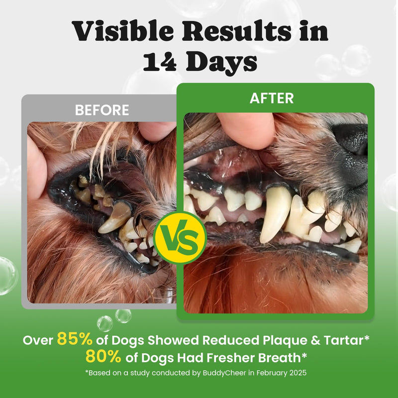 Dog Digestive & Oral Health Bundle – Probiotic Powder with Dental Cleaning Powder for Gut & Oral Balance