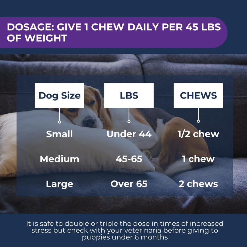 Calm & Relax Soft Chew Supplements for Dogs - Reduce Stress & Anxiety, Behavioral Support, Promote Rest & Relaxation for Active Dogs Calm & Relax - PawsPlanet Australia