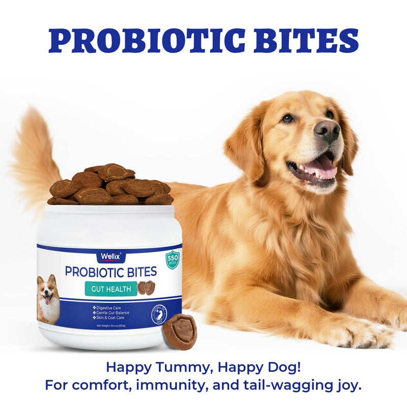 Wellix 19.4oz Probiotics for Dogs - Dog Probiotics and Prebiotics with Pumpkin - Improve Digestive Health, Allergies and Itchy Skin Relief Natural Gut Health Supplements for Small Medium Senior Dog