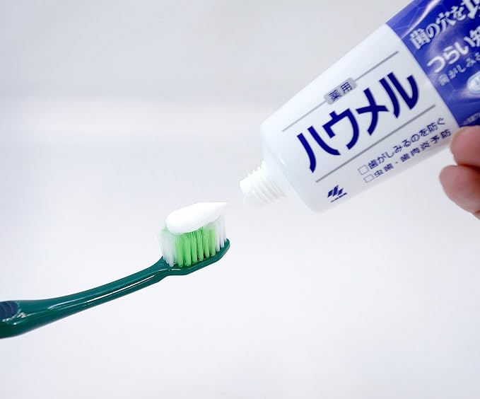 Haumel Hypersensitivity Care Paste, Medicated Toothpaste, 3.5 oz (100 g), Filling Teeth Holes, Kobayashi Pharmaceutical (Quasi-Drug) 1 Piece - NewNest Australia
