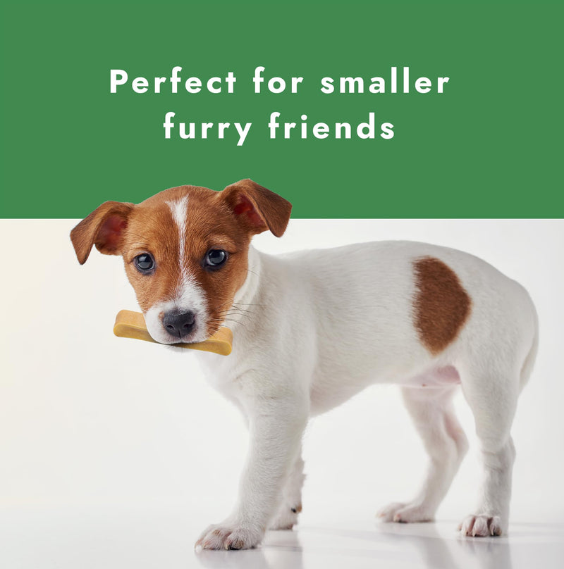 William Hunter Yak Cheese Himalayan Dog Chews - Long Lasting 100% Natural High Protein Dental Dog Chews for Aggressive Chewers (5 Pack Small) 5 Pack Small