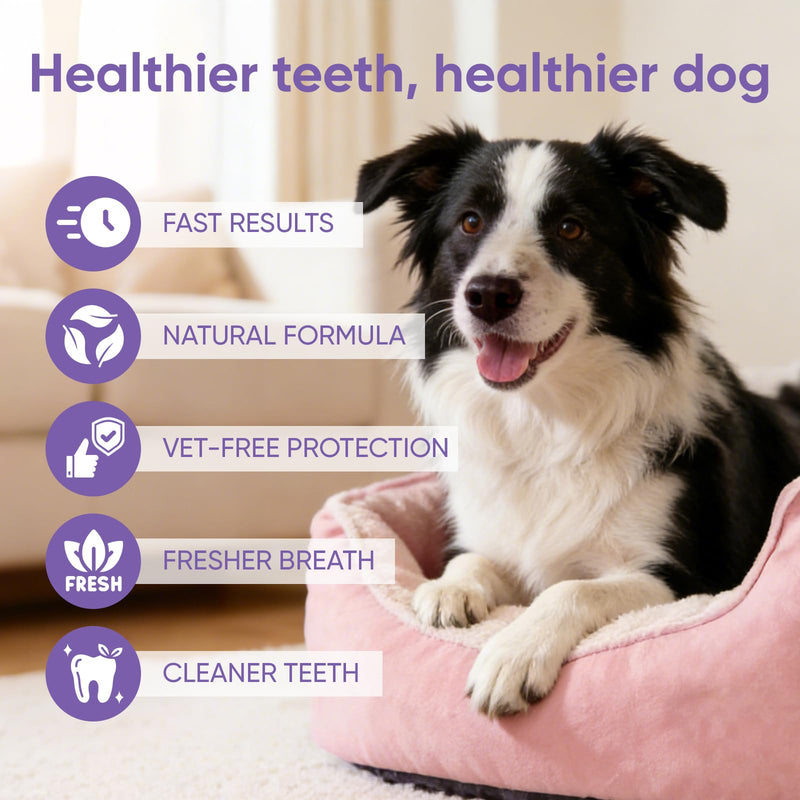 Milolabco Advanced Dental Spray, Dentaclean for Dogs & Cat, Probiotic Oral Care Spray for Fresh Breath, Helps Support Clean Teeth & Healthy Gums - No Brushing (2 Pack)