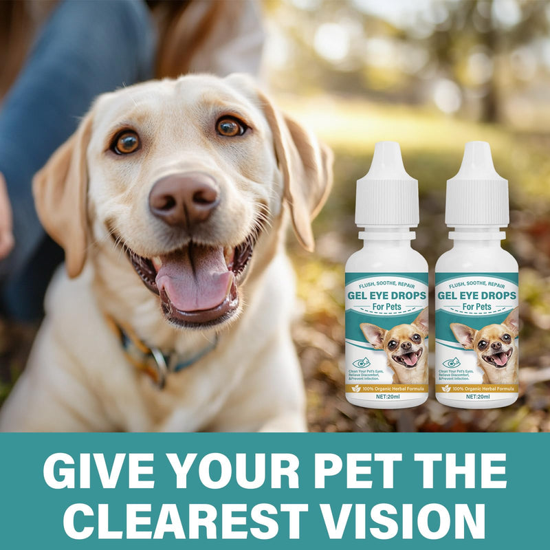 Cataract Drops for Dogs - Pet Gel Dog Eye Drops for Soothing Eye Discomfort, Reducing Tear Stains, and Supporting Eye Health, Gentle Formula for All Animals (2 X 20 ml)
