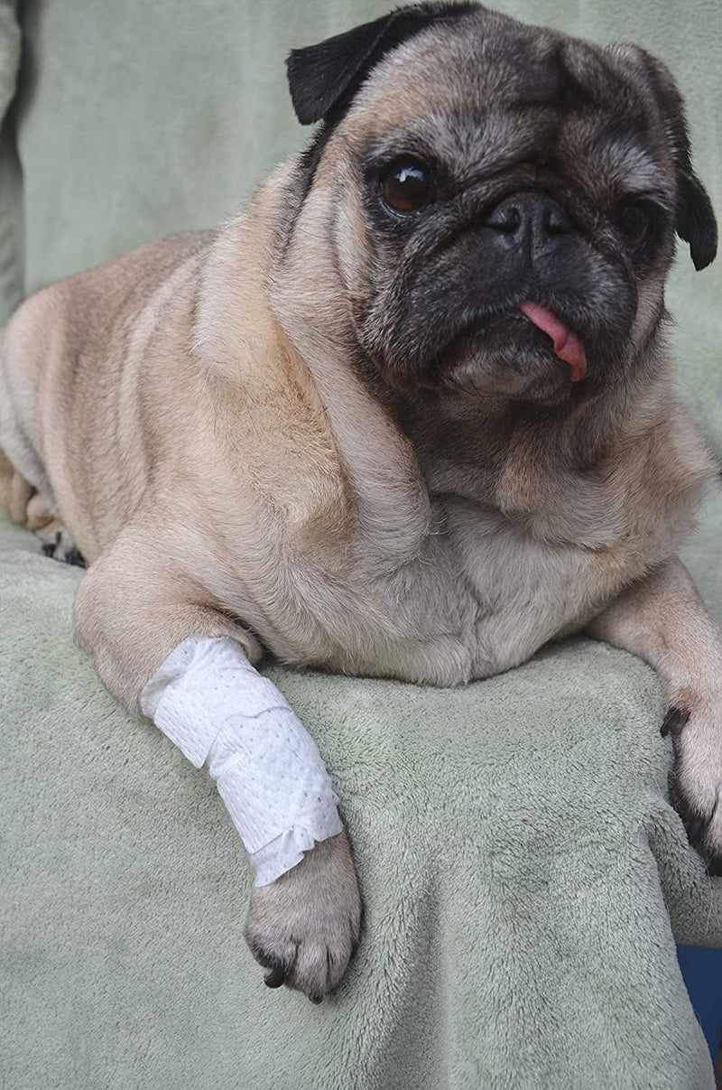 PawFlex Joint and Large Area Wound Bandages for Dogs Cats & Other Pets. Great for Leg Joint sprains and Tail Injuries! Non Adhesive Breathable Non-Slip Disposable Washable Value Pack (2XS/XS 12pk) White 2XS/XS 12pk