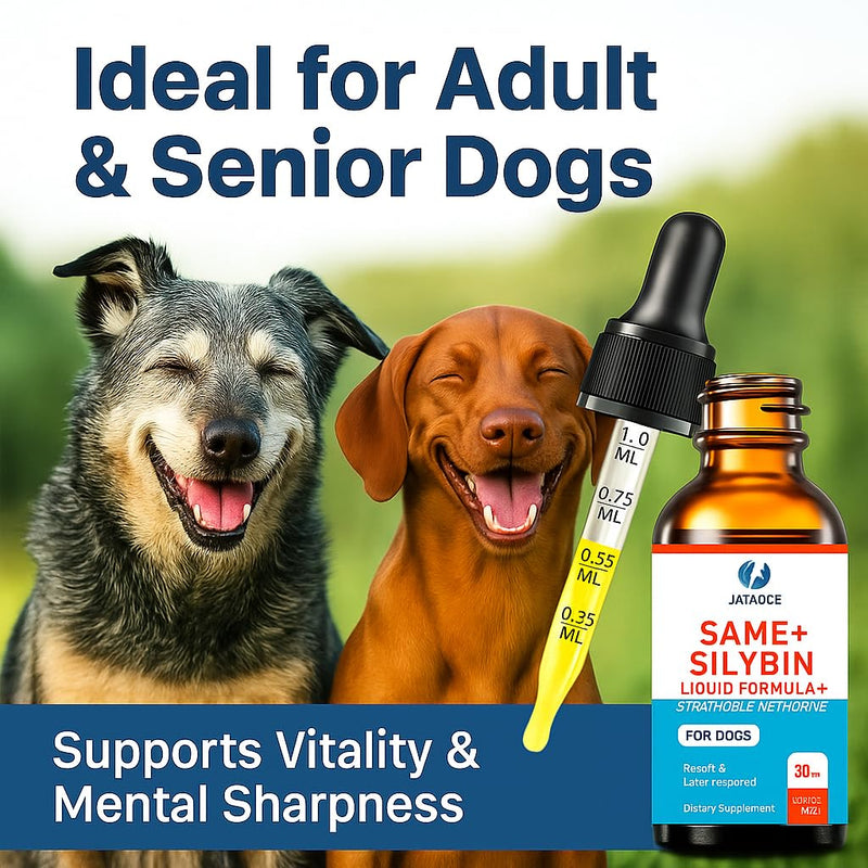 SAMEe for Dogs 500mg Liquid Drops with Silybin – Bacon Liver Flavored Liver Support Supplement for Dogs – S-Adenosyl Methionine & Milk Thistle Extract – 30ml (1oz) 1 Fl Oz(Pack of 1)