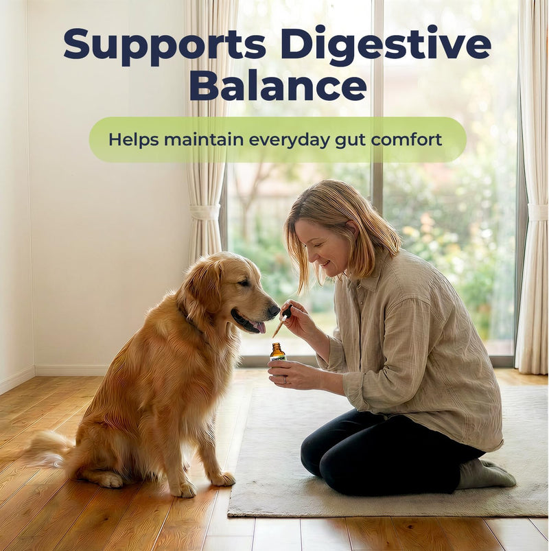 Licorice Root Tincture for Dogs - Respiratory Health Supplements - Lung Support Drops for Pets - Liquid Dog Vitamins and Supplements for Lung Detox & Cleanse - No Preservatives - 2 oz - NewNest Australia