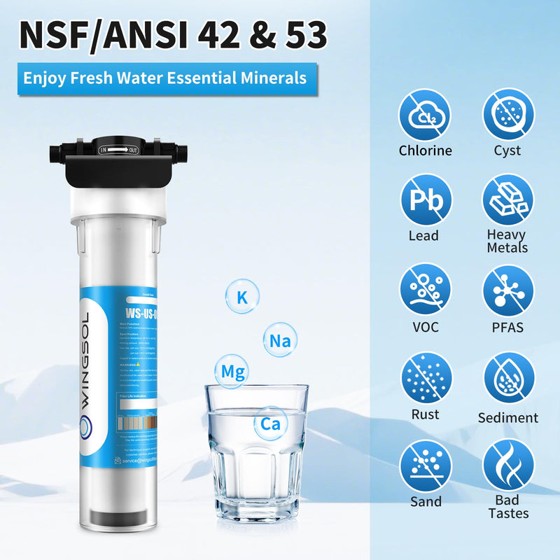 WINGSOL Jumbo Under Sink Water Filter Replacement, Reduce Heavy metals, Chlorine, Alkalize, Long-lasting, 5-in-1, work with WS-US-001 Jumbo advanced (F), Model#WS-USRF-001 Jumbo Advanced