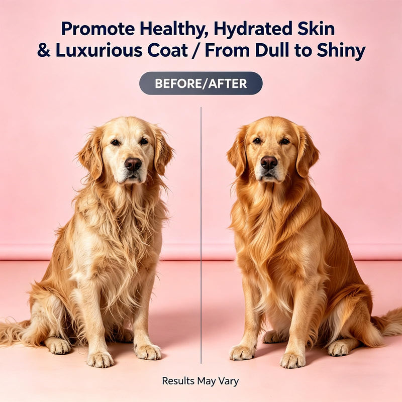 Liquid Collagen Supplement for Dogs - Supports Joint Health, Skin & Coat Vitality, and Digestive Wellness, 2 Fl Oz Premium Formula (2 Pack) (1) 1