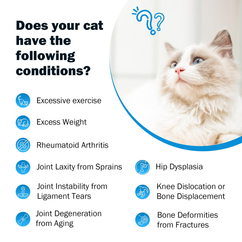 Joint Supplement for Cats - Glucosamine & Chondroitin Drops - Arthritis Relief for Senior Cats - Hip & Joint Care for Indoor Cat - Cat Supplements & Vitamins - 59ML