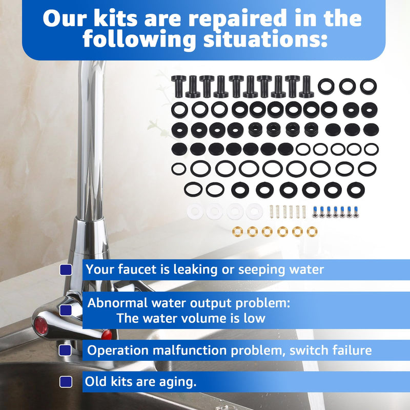 B-6RK Repair Kit for T&S Brass, Repair Kit Replacement for T&S Faucet PRU Cartridge & Spray Valve