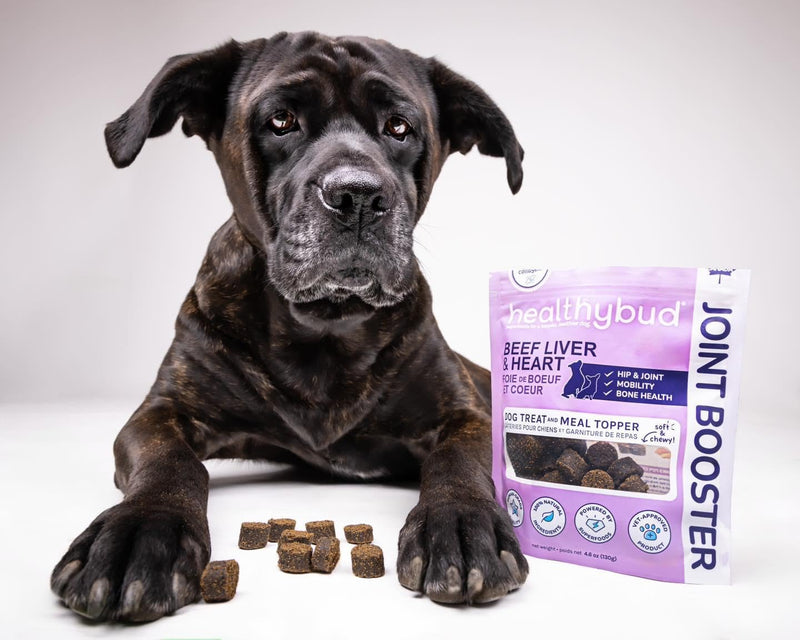 healthybud Hip and Joint Dog Treats - Glucosamine Soft Beef Liver Bites for Senior Dogs, Arthritis Support 14.1oz 14.1 Ounce (Pack of 1) - PawsPlanet Australia