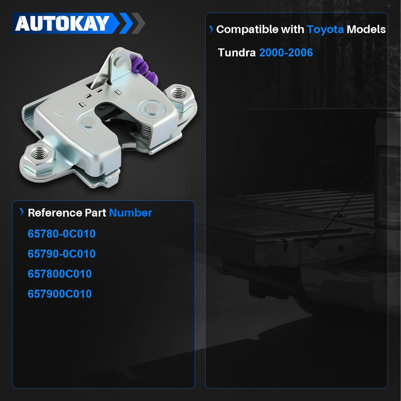 AUTOKAY 65780-0C010 Left and Right Side Tailgate Latch Lock Fit for Toyota Tundra 2000 2001 2002 2003 2004 2005 2006 RE# 65790-0C010 657800C010 657900C010