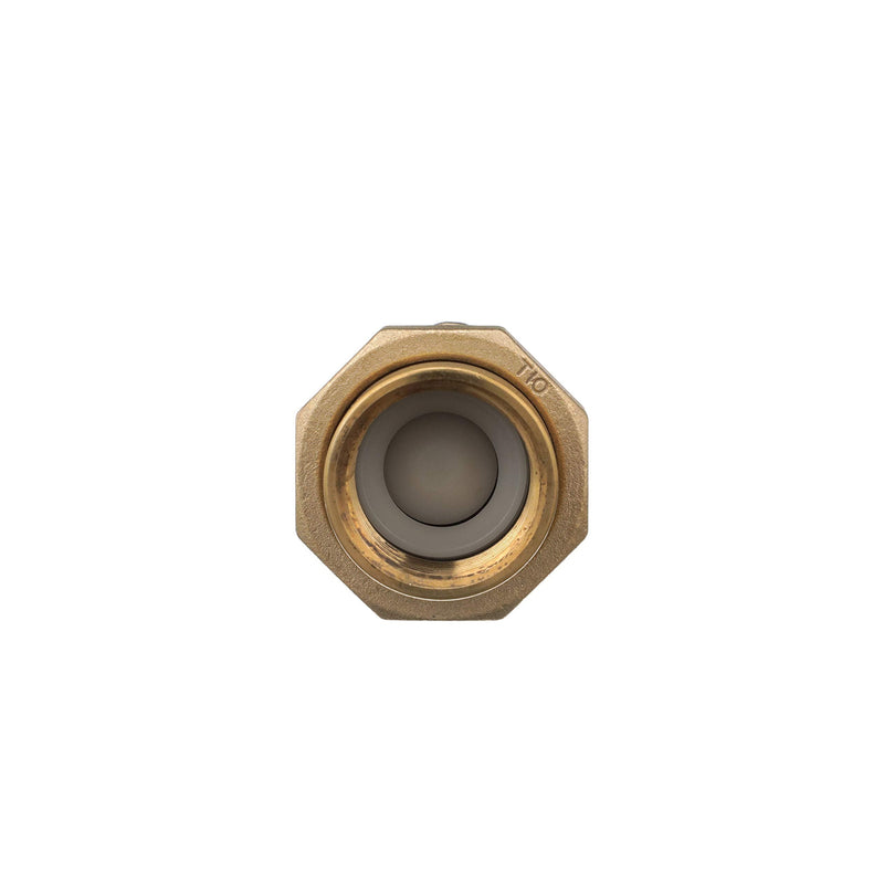 Zurn Wilkins 1UFX1F-700XL 700XL Dual Check Valve with 1" Female Union Inlet x 1" Female Outlet
