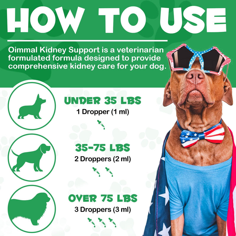 Kidney Support for Dogs - Kidney Support Supplement, Supports Immune, Urinary & Kidney Health Function, Natural Herbal Supplement (2 Fl Oz) 2 Fl Oz - PawsPlanet Australia