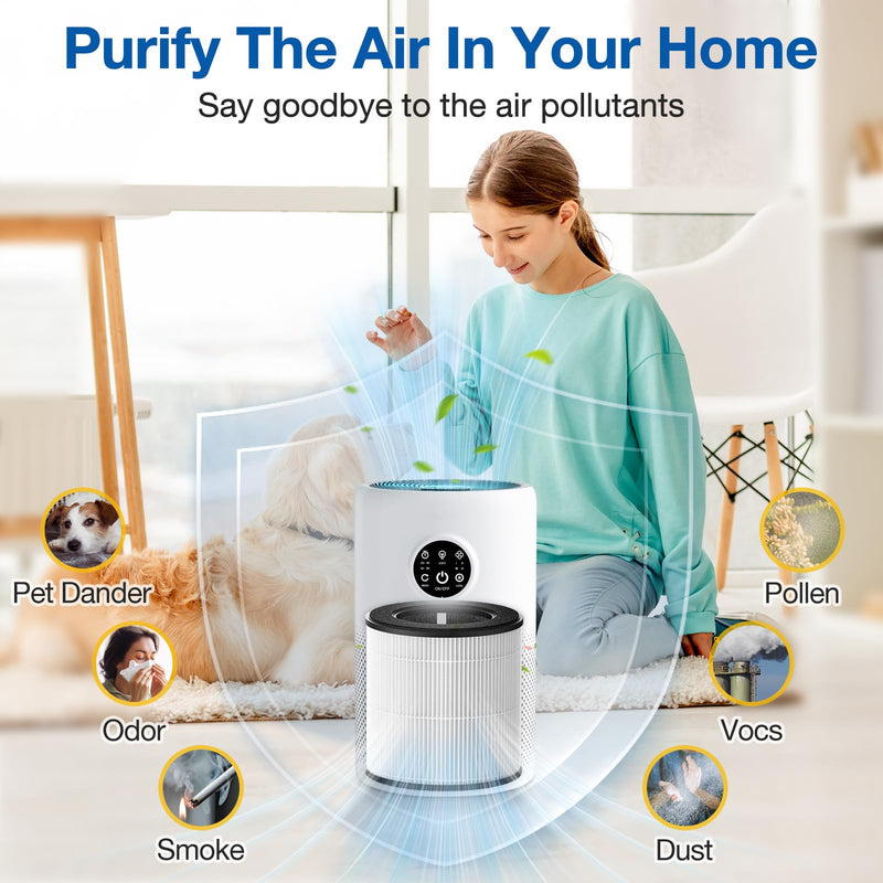 D10 Replacement Filter Compatible with Tailulu D10 Air Purifier, 2 Pack