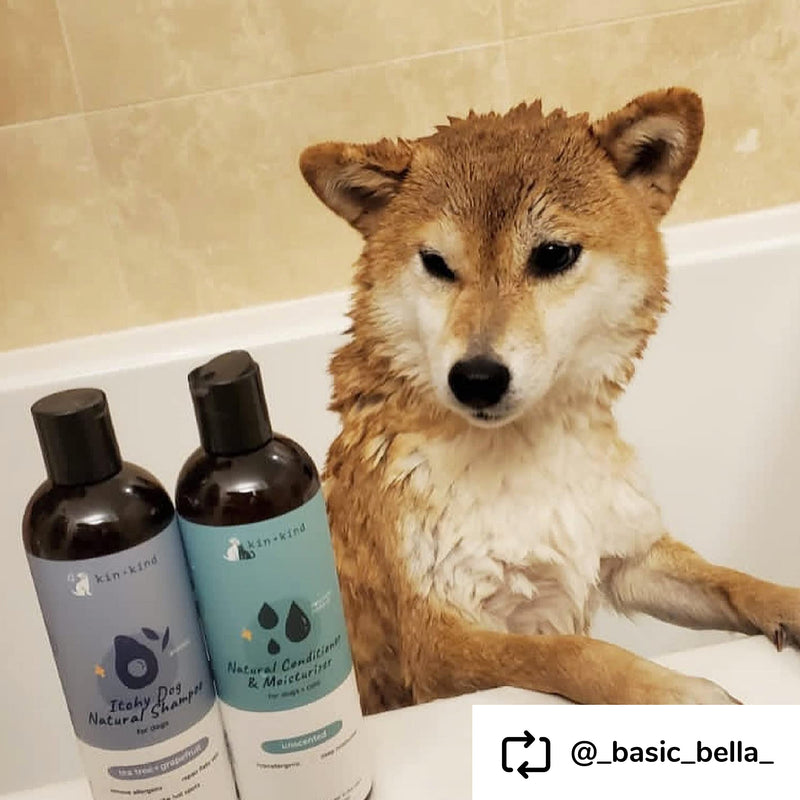 kin+kind Anti-Itch Dog Shampoo for Itchy Skin and Allergies - Safe, Natural Formula with Olive, Coconut, and Avocado Oil - Made in The USA - Great for Dog Grooming and Puppy Supplies (12 fl oz) Tea Tree+Grapefruit - PawsPlanet Australia