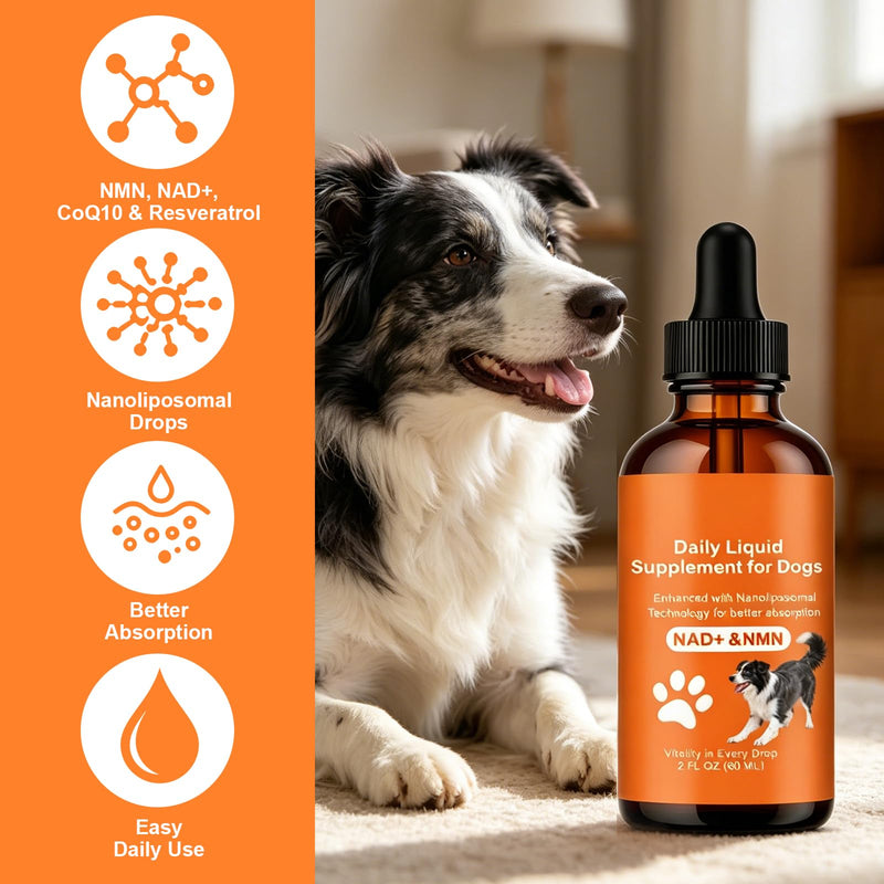 Dog Longevity Supplement with NMN, NAD+, CoQ10 & Resveratrol - Supports Joint Health, Vitality & Healthy Aging - 60-Day Nanoliposomal Drops for Better Absorption