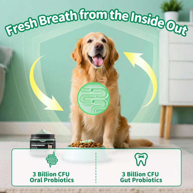 Dog Dental Powder, Dog Teeth Cleaning Powder with 6B CFU Probiotics, Enzymes & Antioxidants, Fresh Breath Support, Plaque & Tartar Off, No Brushing Oral Care - 75 Servings, Mint Chicken Flavor