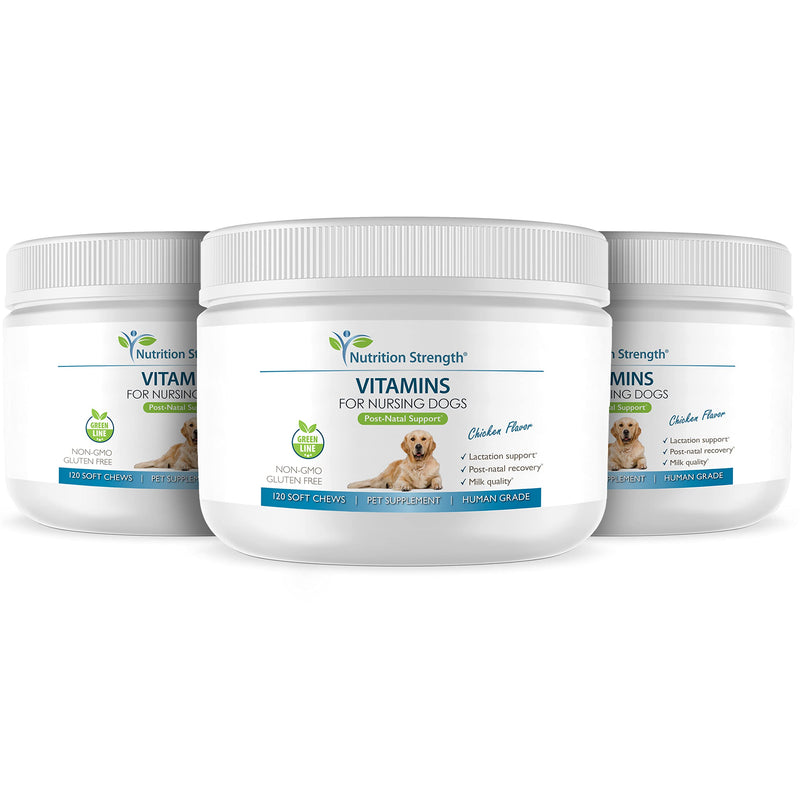 Vitamins for Nursing Dogs to Support Lactation and Post-Natal Recovery, Promote Milk Quality and Healthy Puppies with Calcium, Phosphorus, Magnesium and Zinc, 120 Soft Chews - PawsPlanet Australia