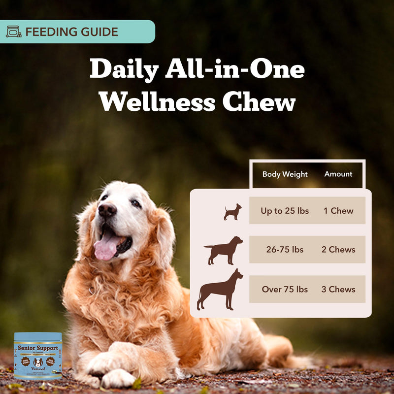 Natural Dog Company Senior Dog Bundle – Omega 3 Fish Oil Liquid 16oz & Senior Wellness Chews 90ct – Support Mobility, Brain, Heart & Eye Health with Turmeric, Salmon, Lion’s Mane & Omega-3s