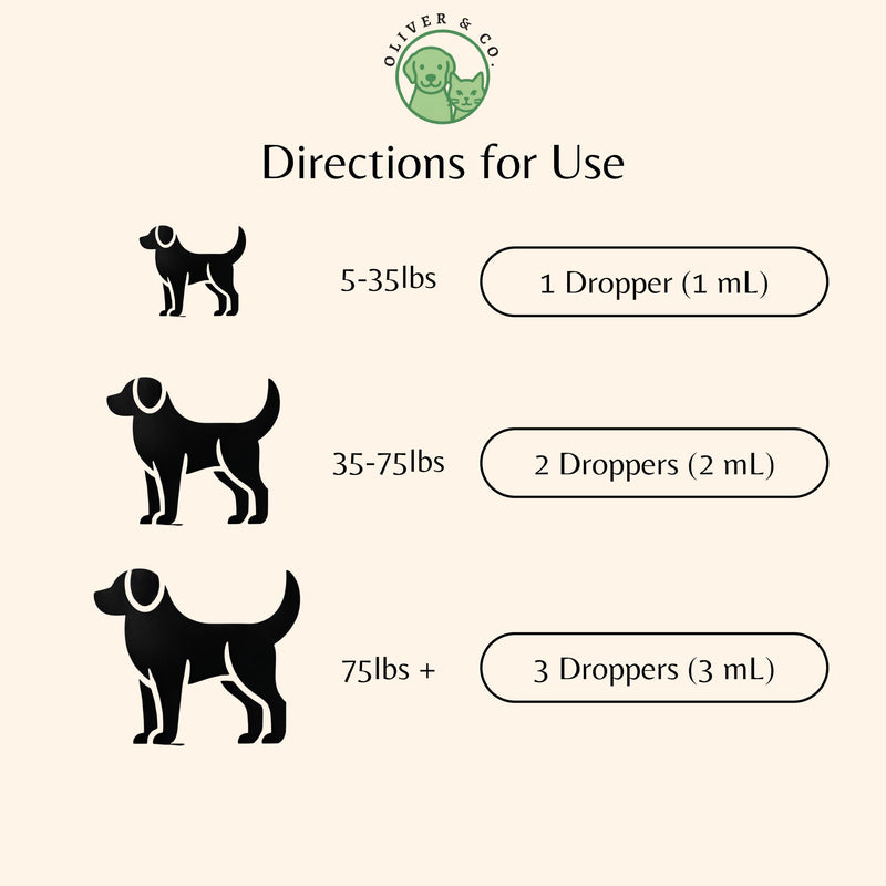 Lysine for Dogs - Dog Sneezing Relief - Dog Allergy Relief - May Help with Respiratory Health, Sneezing, Runny Nose & Much More - L-Lysine for Dogs - 1 fl oz - Bacon Flavor