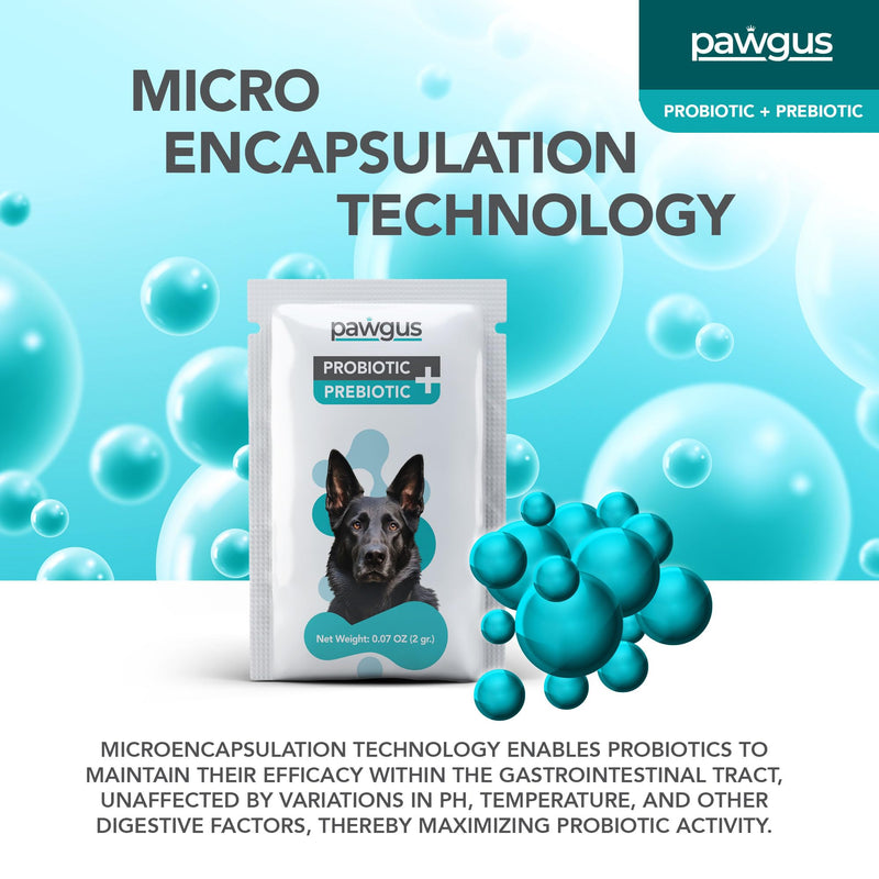 Ultimate Prebiotic and Probiotic Combo for Dogs Canine 30 Sachets - Digestive Enzymes for a Healthy Gut, Diarrhea Relief, Immune Support, Gas Relief, 7 Billion CFU, Vitamins - Vet Recommended