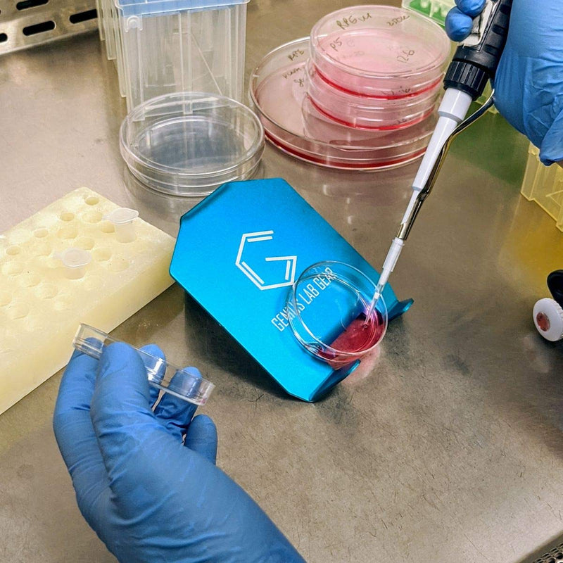 Angled Metal Petri Dish Holder - 30/40 Degree Cell Culture Plate Media Transfer Stand-Rack - Fits 60-200mm Well Plates, Flasks, Dishes - 2 Pack, Microbiology Lab Equipment Supplies - Science, Biology