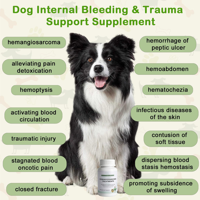 yunnan Sanqi Capsules for Dogs, Herbal Quick Stop Bleeding, Blood Support for Hemangiosarcoma, Hemoabdomen, Pericardial Effusion, Cancer Bleeding, Ulcer-Related Bleeding, Bloody Stools - 90 Capsules