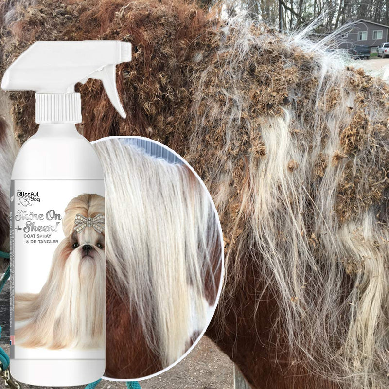 [Australia] - The Blissful Dog Shine-On + Sheen Coat Spray, All Natural Leave in Conditioner and Detangler for Your Dog 8-Ounce 
