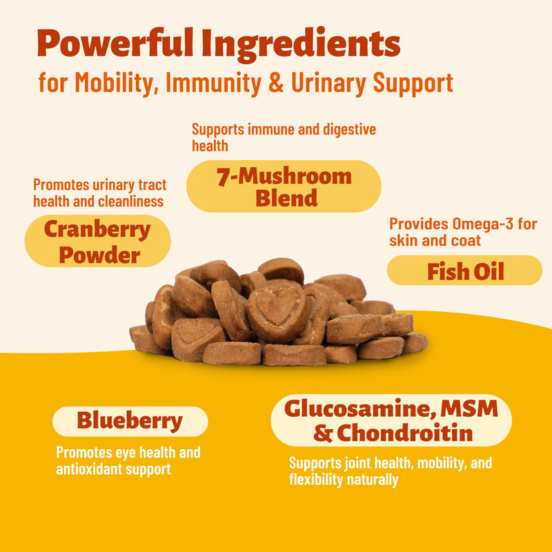 Mushroom Supplement for Dogs - Supports Antioxidant & Immune Defense, Gut, Skin, Joint & Urinary Tract Health, 7-Mushroom Complex (Turkey Tail, Lion's Mane, Reishi & 4 Others) – 330 Chews