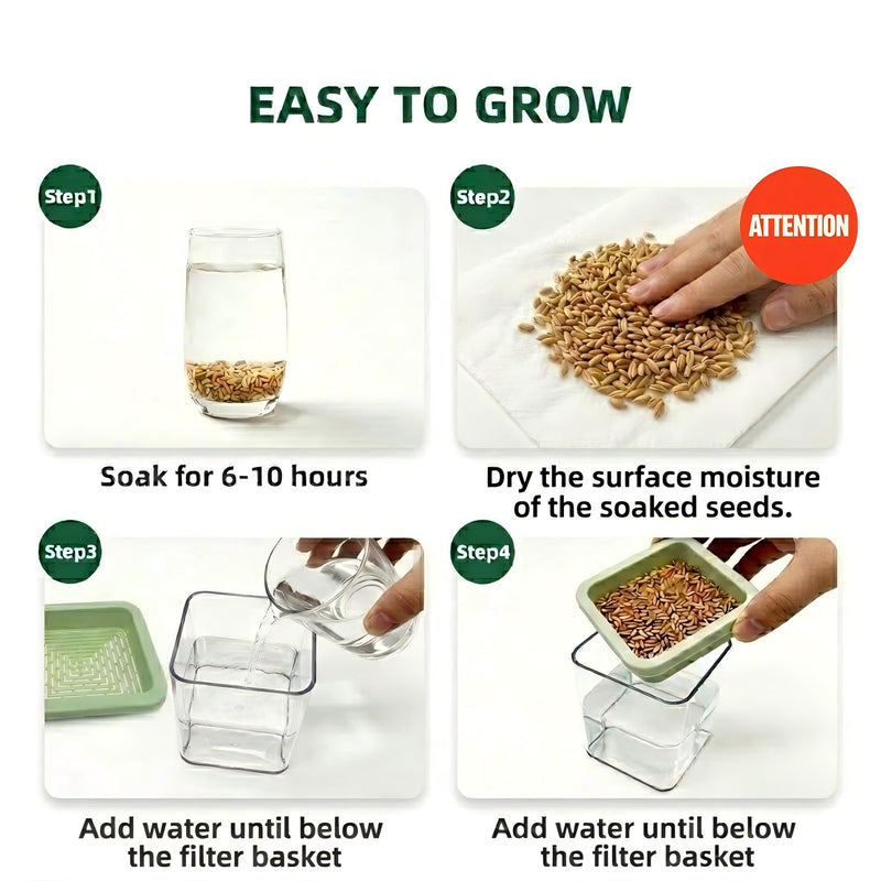 Hydroponic Cat Grass Kit with 6 Pack Non GMO Seeds & Scissors - Cat Grass for Indoor Cats, Helps Cat with Hairballs & Digestion, Easy 3-Step Setup (Food-Safe PP&AS, Plant 3-6 Times)