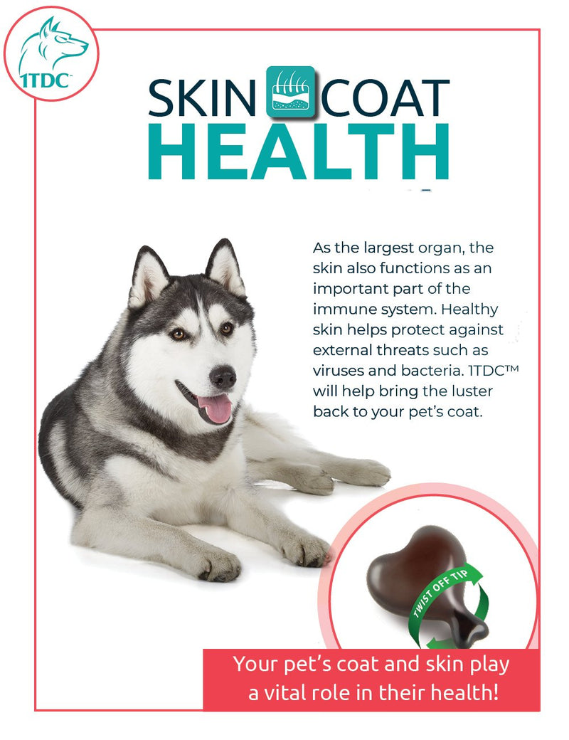 WorksSoWell Dual Action Natural Support - 120 Twist Off Soft Gels | Delivers 4 Health Benefits for Dogs & Cats | Supports Oral, Hip, Joint, Skin, Coat Health, Muscle & Stamina Recovery - PawsPlanet Australia