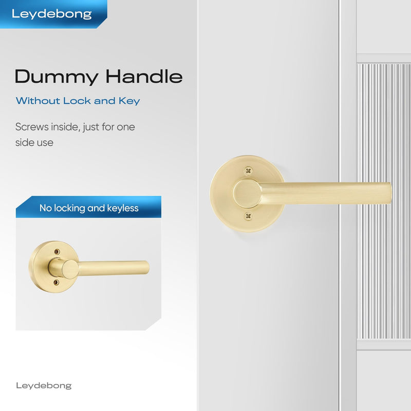 Leydebong 2 Pack Gold Dummy Door Handles, Non-Turning Interior Door Levers, Heavy Duty Reversible Indoor Handles for Closet Pantry