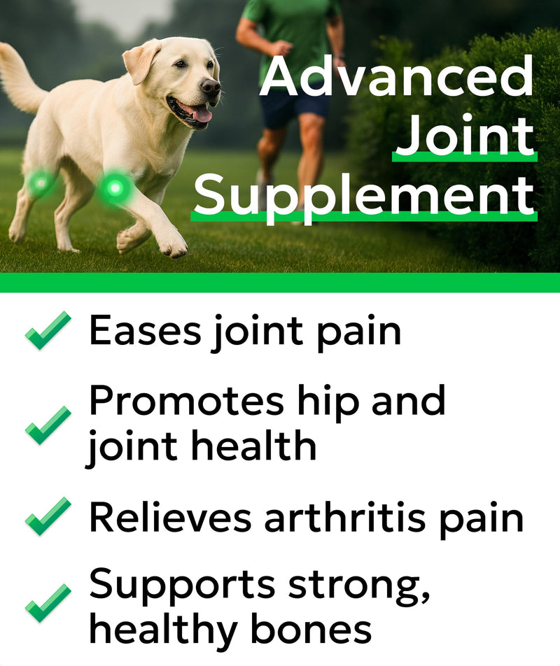 BARK&SPARK Glucosamine Chondroitin Dog Hip & Joint Supplement - Joint Pain Relief - Hip & Joint Chews - Joint Support Large Small Breed - Senior Doggie Vitamin Pill Joint Health 120Ct (Chicken) Hip&Joint (Mobility)