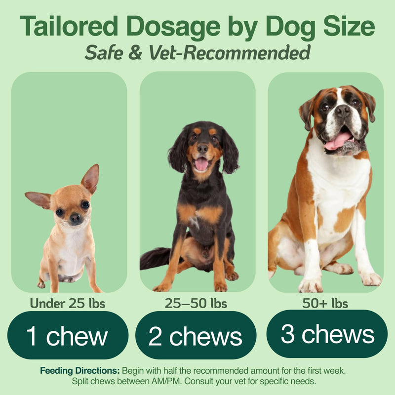 BAZI Multi Dog Chews – Comprehensive Health Supplement with Glucosamine, Probiotics, Salmon Oil, Ashwagandha & Mushrooms – Daily Well-Being, Skin & Coat, Digestion, and Vitality Support for All Dogs