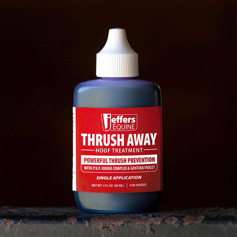 Jeffers Equine Thrush Away 2 Oz Iodine Hoof Solution for Horses – White Line, Frog, Pads, Farrier, Grooming, Stable, Ranch, Farm – Easy Application Hoof Care for Wet & Dry Conditions