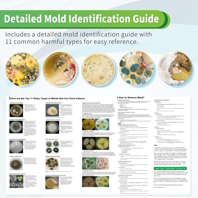 Mold Test Kit for Home with Free Lab Analysis - 10 Simple Detection Tests DIY at Home Mold Air Tester - Test HVAC System,Surface Mold for Home Indoor & Outdoor Air Quality Mold Testing Kits Detector