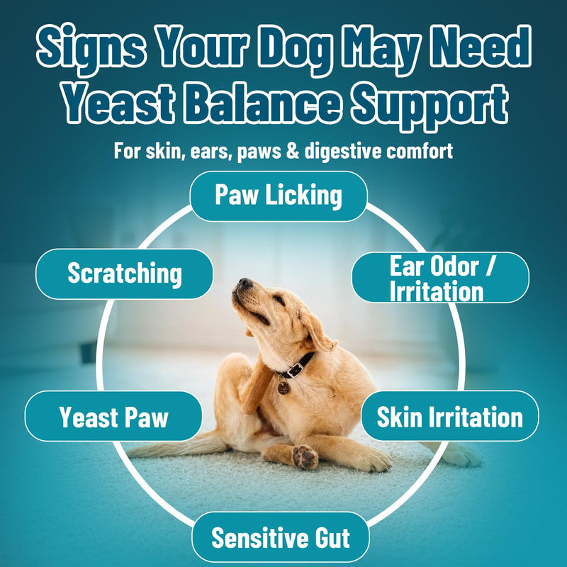VICSOM Natural Dog Yeast Infection Treatment for Dogs, Itchy Skin & Ear Treatment Natural Support Allergy Relief, Dog Yeast Infection Relief, Support Irritation, Itching & Inflammation 60ml 1 PACK