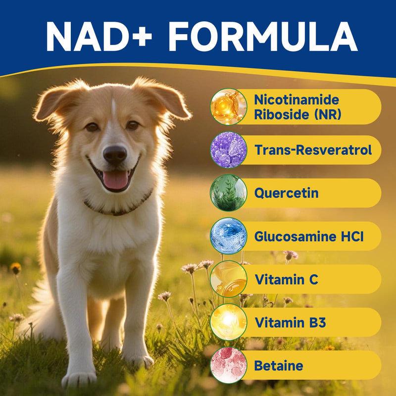 NAD+ Soft Chews for Dogs & Collagen for Cats - for Dogs Energy & Vitality, Anti-Aging, Cognitive Function - for Cat Joint Supplement - Skin & Coat, Digestive & Immune Support