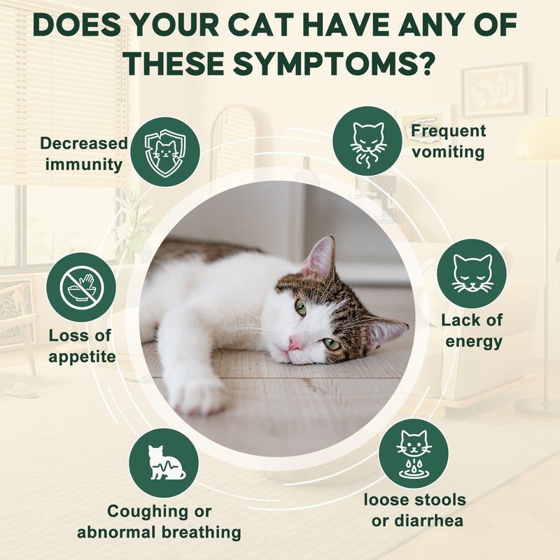 lvermect for Cat, Dewomax Liquid Digestive Support for Kittens & Adult Cats, Broad-Spectrum Gut Balance Formula for Internal Comfort, Gentle Daily Wellness & Healthy Digestion - 3.5 fl oz