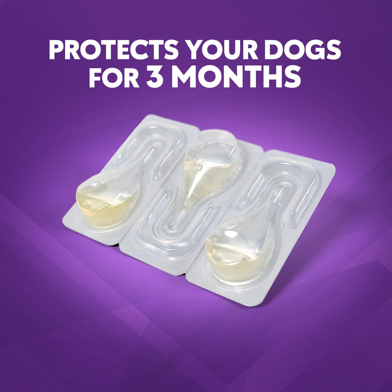 ZoGuard Plus Flea and Tick Prevention for Medium Dogs – Flea & Tick Prevention for Dogs 23-44lbs 12 Month Supply, Pack of 4
