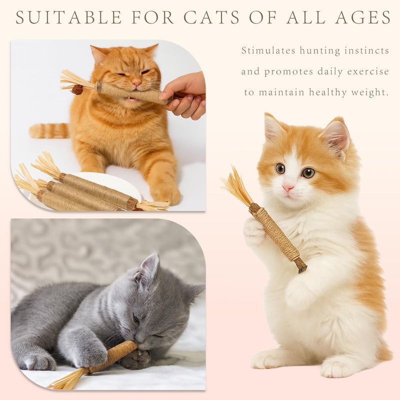 Natural Silvervine Cat Chew Sticks Set of 3-Pieces, Edible Kitten Teeth Cleaning Toys, Dental Care Lick Treats