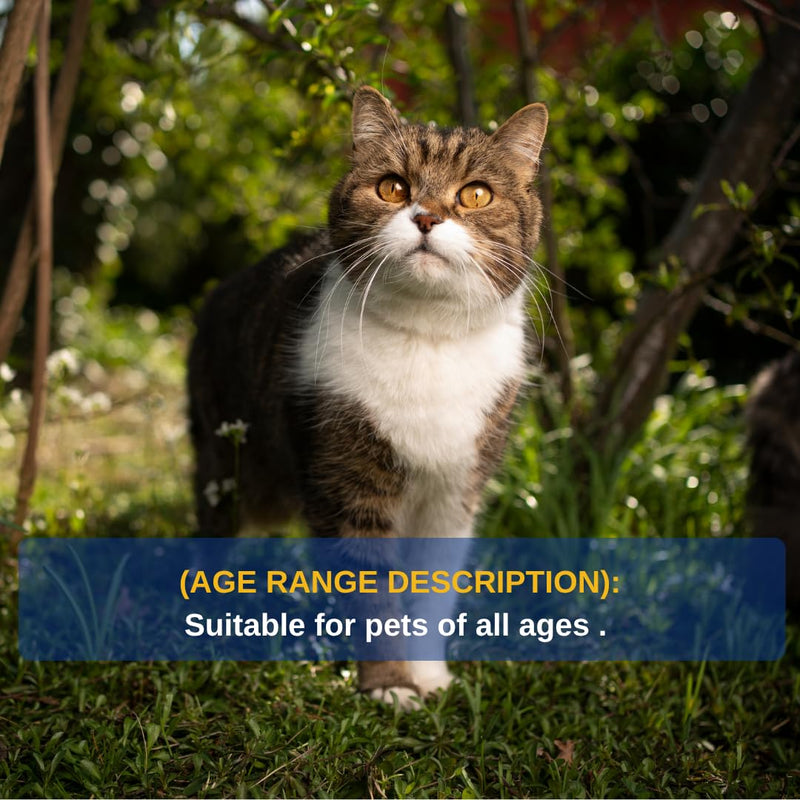Pet Eye Cream for Dogs, Cats and All Pets - 1/8 oz (3.5g) 2 Tube