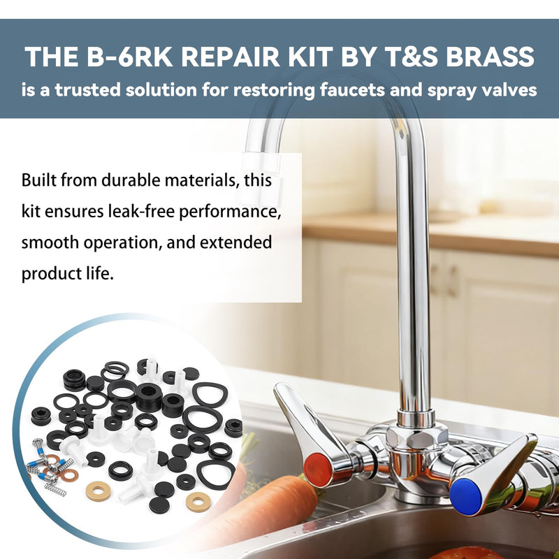 B-6RK Repair Kit for T&S Brass Faucet Cartridges & Spray Valves
