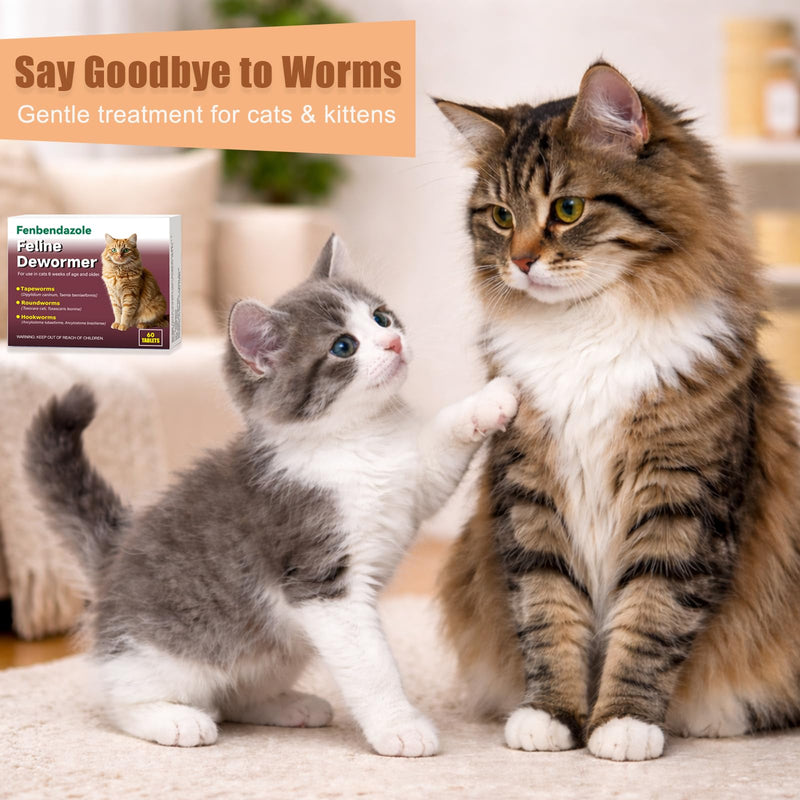 Dewormer for Cats & Kittens, Fenbendazole for Tapeworms, Roundworms & Hookworms - 60 Tablets