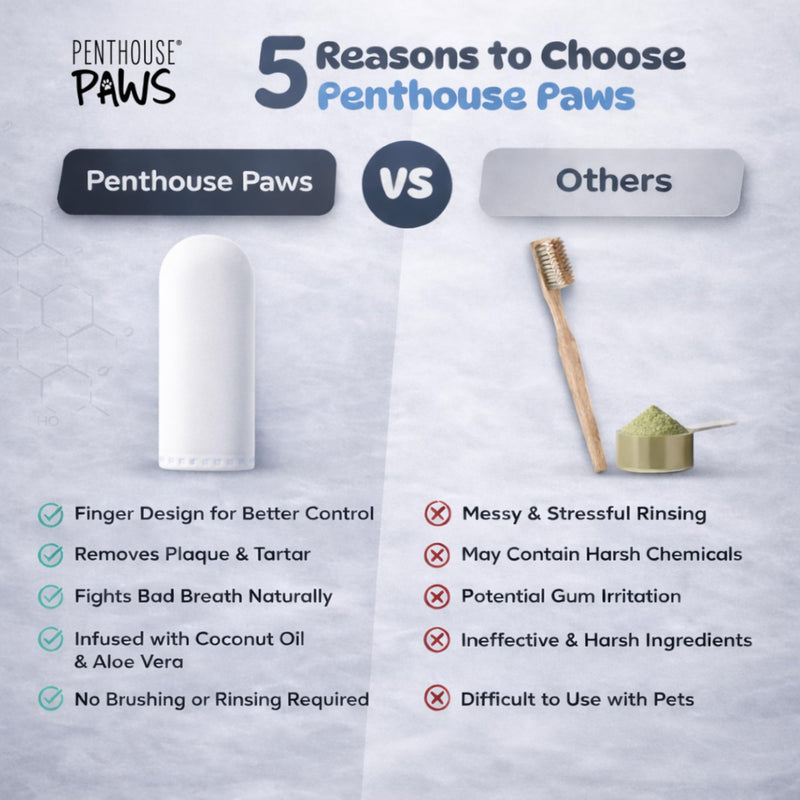PENTHOUSE PAWS Dog Dental Wipes for Teeth Cleaning, 50 Finger Wipes for Dogs & Cats, Helps Reduce Plaque & Tartar, Fresh Breath Support, Aloe Vera & Coconut Oil, Toothbrush & Toothpaste Alternative
