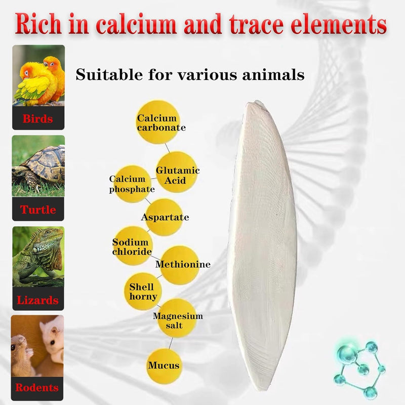 Bird Cuttlebone for Parakeets Cuttlebone for Birds - 100% Natural Cuttlefish Bone Bulk Chew Toy Bird Bites Calcium Stone for Canaries Tortoises,Snails,Reptiles,Parrots,Cockatiel 30PCS