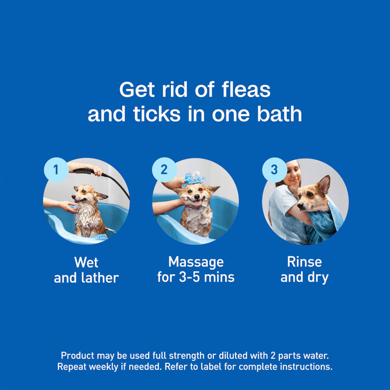 ADAMS Plus with Botanicals Flea & Tick Shampoo for Cats, Kittens, Dogs & Puppies, Flea Shampoo for Flea Infestations, Soothes & Conditions Dry Skin & Coat, Kills Fleas, Flea Eggs, Ticks & Lice, 16 oz 16 Ounces