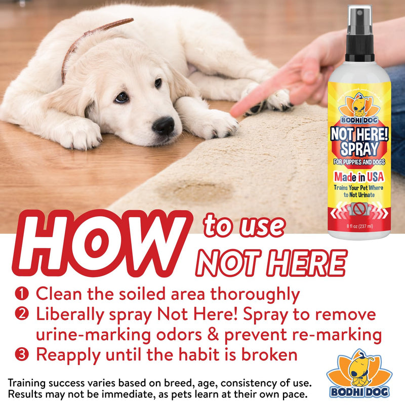 Bodhi Dog Not Here Spray - Trains Pets Where Not To Pee - Dog & Puppy Potty Training Spray to Stop Marking & Urinating Indoors or Outdoors - Safe for Furniture, Carpet & Floors - Made in USA (8 Fl Oz) Not Here! 8oz
